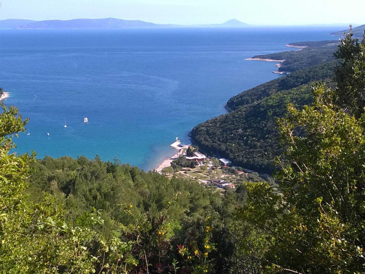 Apartment North Adriatic View *